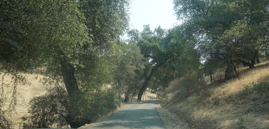 [Picture of Turner Road 4]